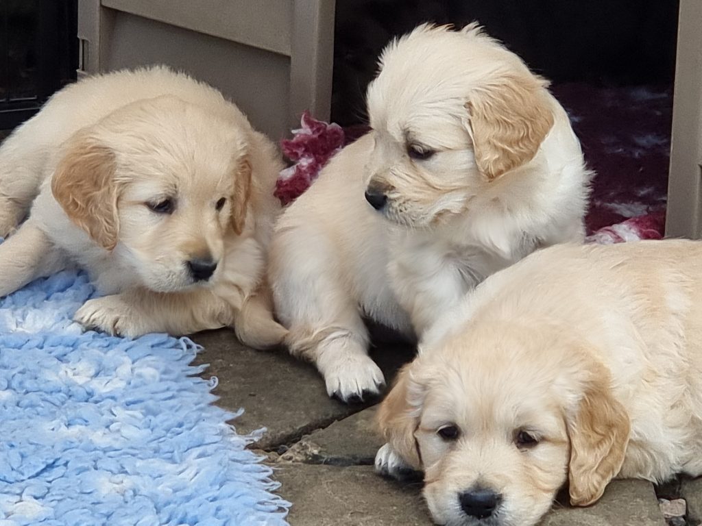 20220704 144312 1024x768 1