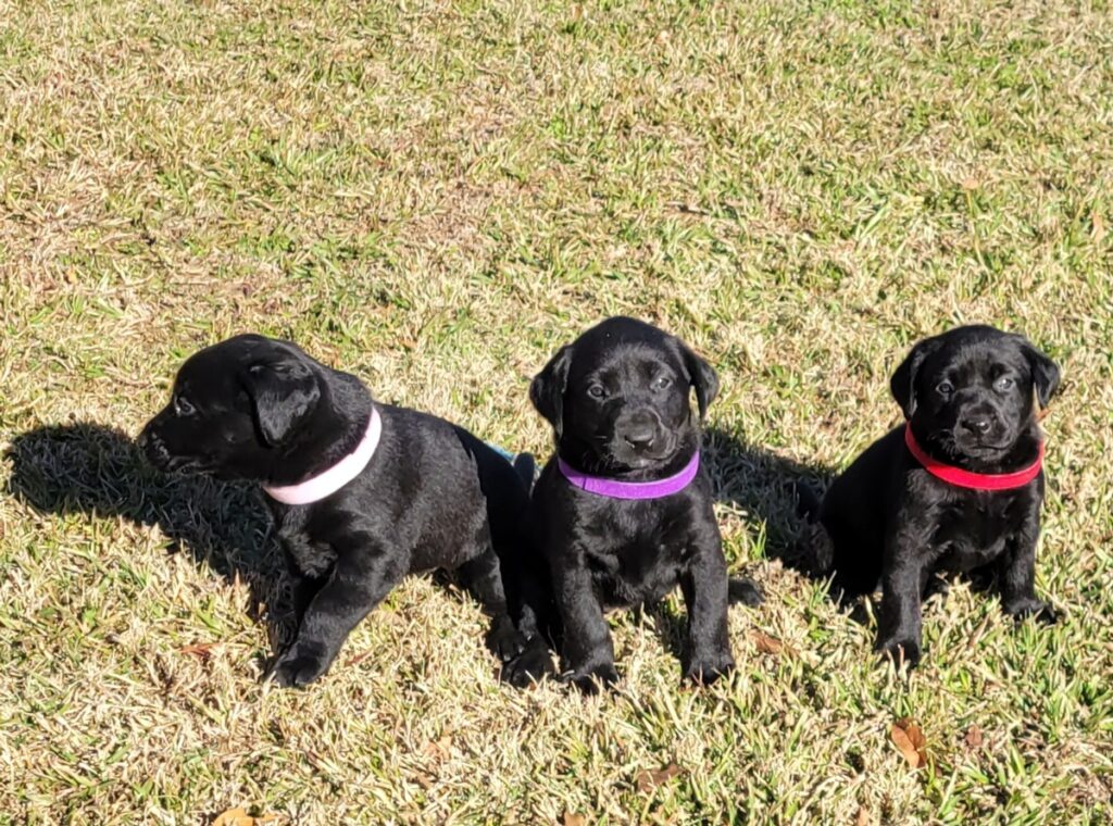 20231215 140918 1024x760